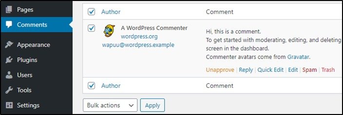 Delete Default Comment On Wordpress