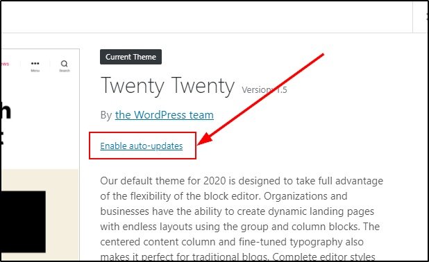Enable Auto-Update For Wordpress Themes