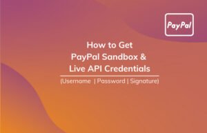 Read More About The Article How To Get Paypal Sandbox And Live Api Username, Password & Signature?