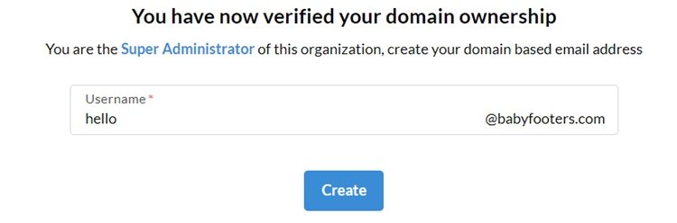 Zoho Domain Verification Successful